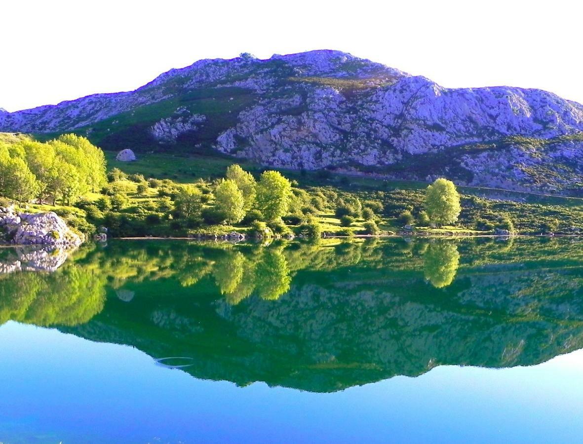 Turismo Rural El Sidron Pensionat Piloña Eksteriør billede